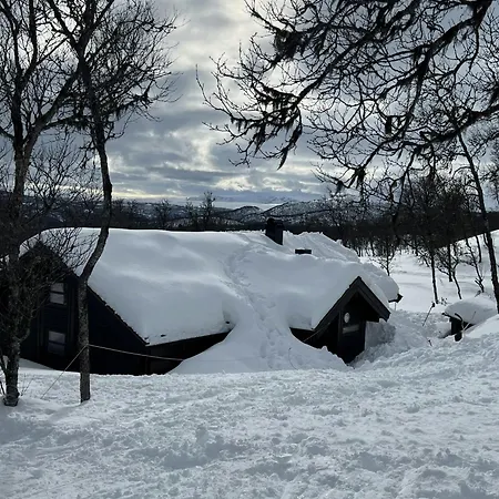Modern Al At The Foot Of Reinskarvet *