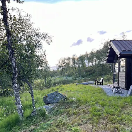 Modern Al At The Foot Of Reinskarvet