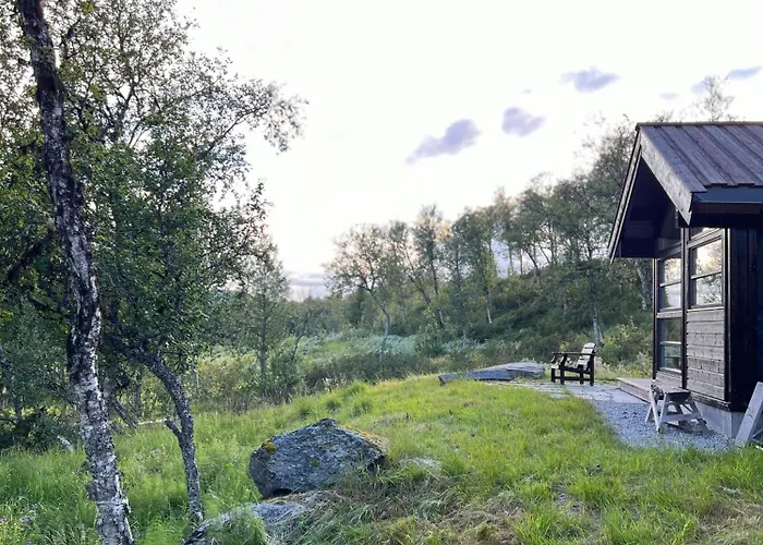 Modern Al At The Foot Of Reinskarvet