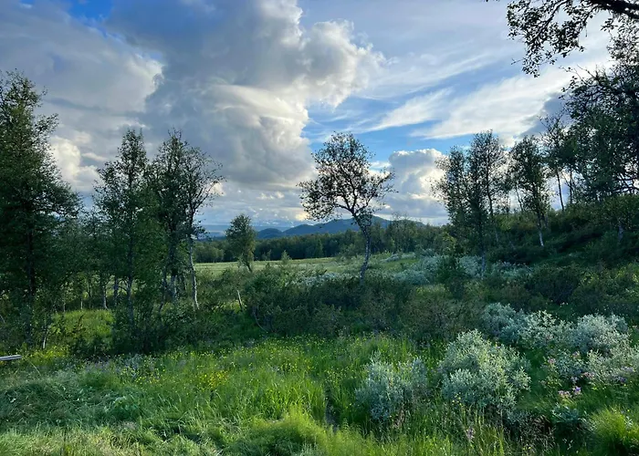 Modern Al At The Foot Of Reinskarvet Дом отдыха