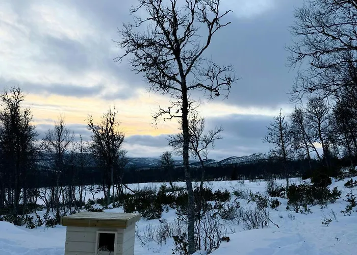 Modern Al At The Foot Of Reinskarvet *